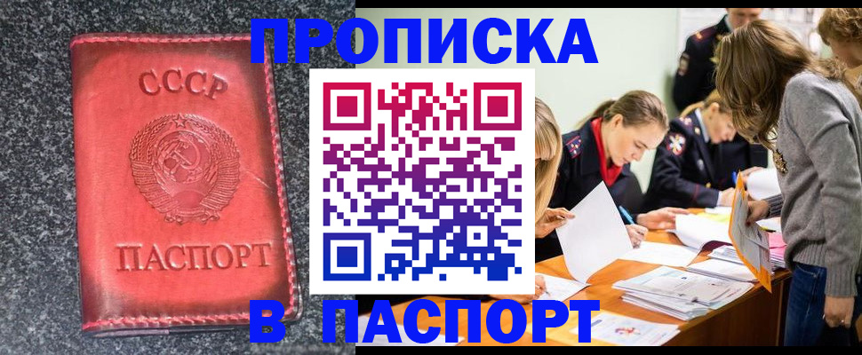 прописка для школы в Киришах